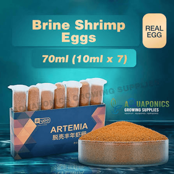 بيض الأرتيميا المقشر الجاهز للأكل بدون تفقيس - YEE Decapsulated Artemia Eggs