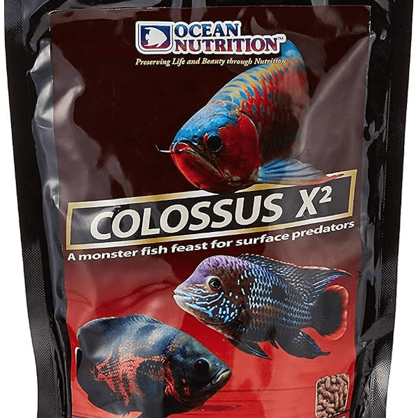 Ocean Nutrition Colossus X2 – غذاء الأسماك الكبيرة والمفترسة
