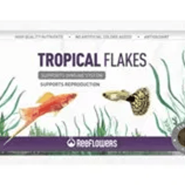 طعام رقائق للأسماك الاستوائية - ReeFlowers Tropical Flakes